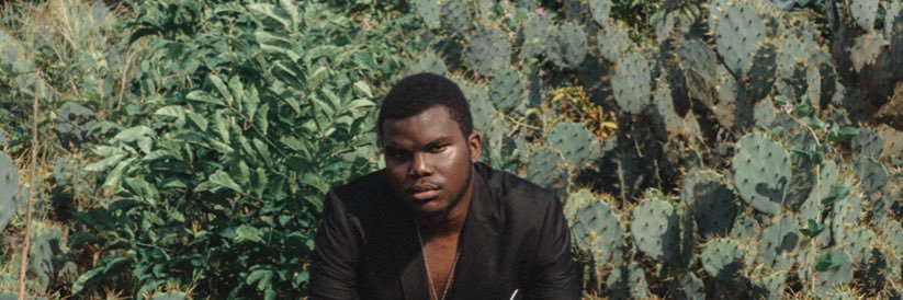 RAYDENKENAZ's profile banner image