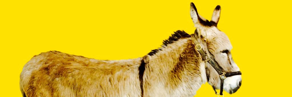 PedroCuchillo's profile banner image