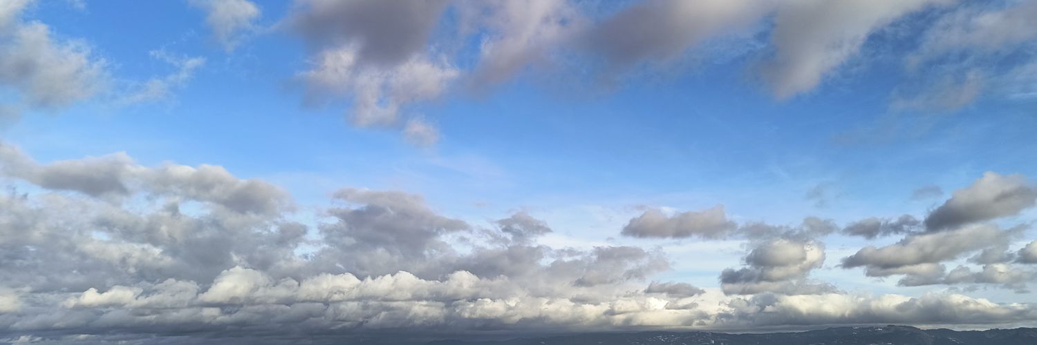 princesa muy clara sátira banner