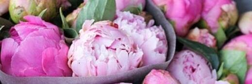 Bises d'Etoile ✍ ♥ ✵♫ banner