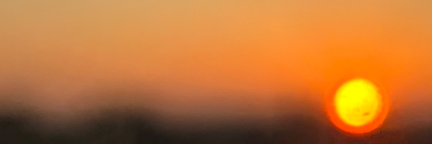 sarypam's profile banner image