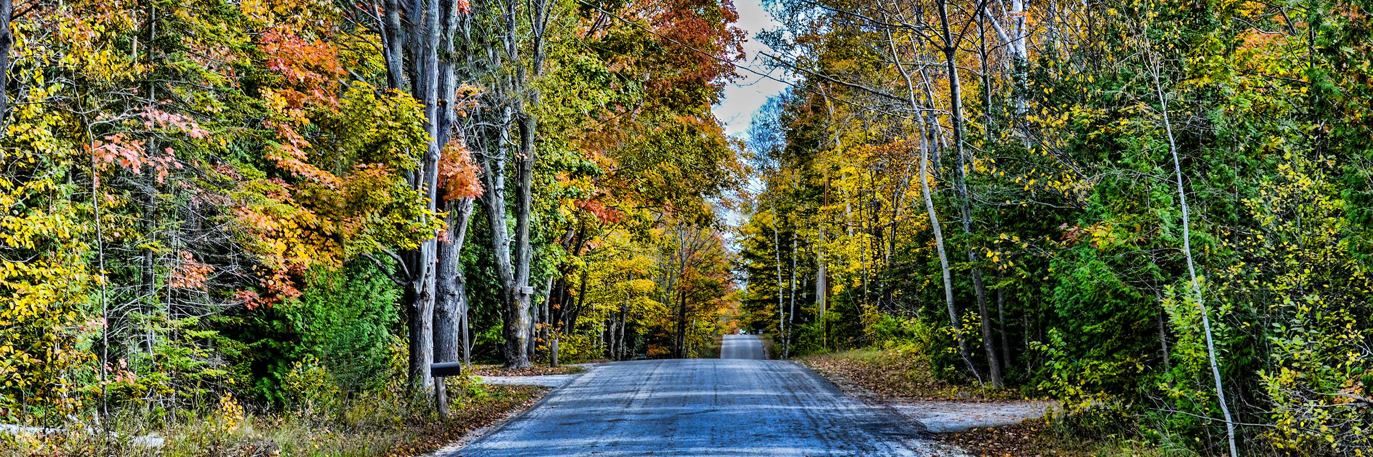 DoorCountySoMe's profile banner image