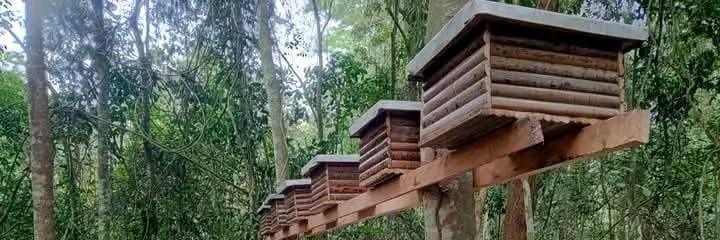 𝖳𝗁𝖾 𝖢𝗁𝗂𝗅𝖽 𝖮𝖿 𝖠𝖽𝖺𝗆 🇨🇲 banner