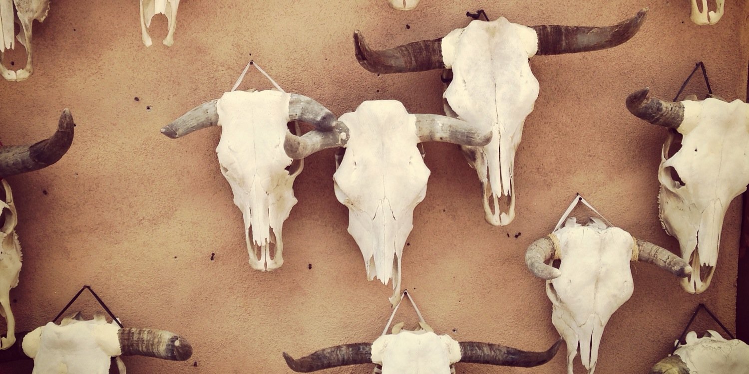 Katie Williams banner