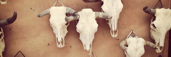 katiew555 Profile Banner