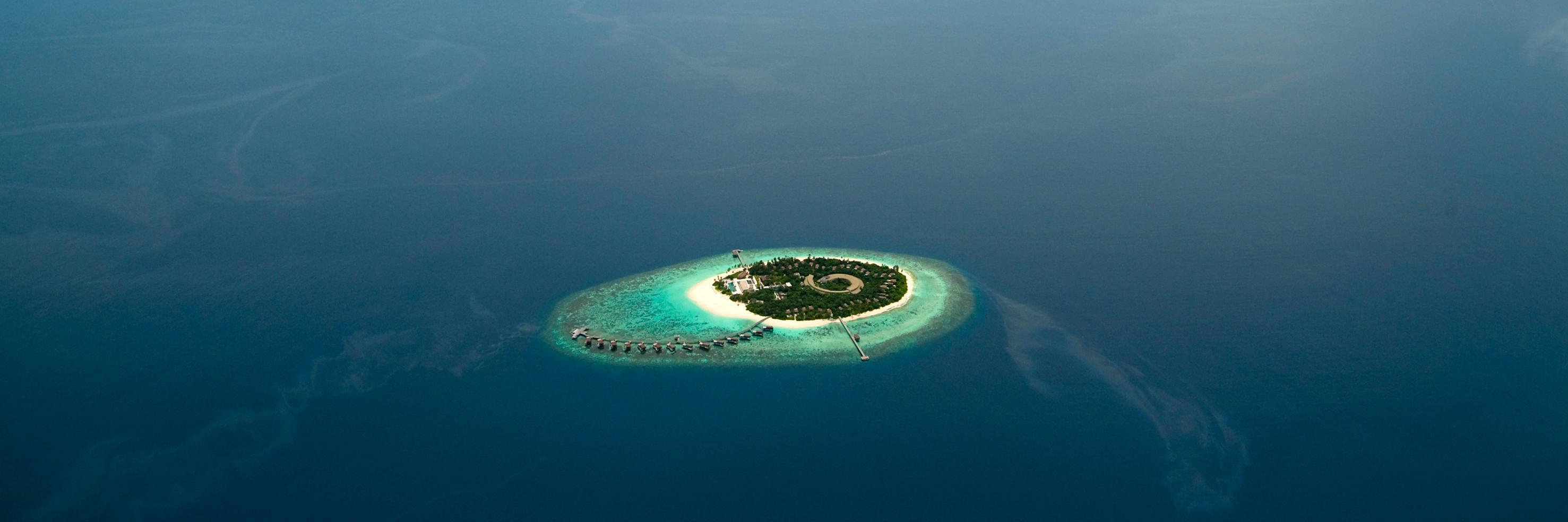Hadahaa's profile banner image