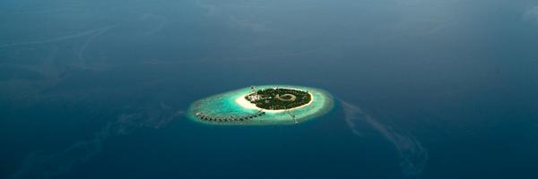 Hadahaa Profile Banner