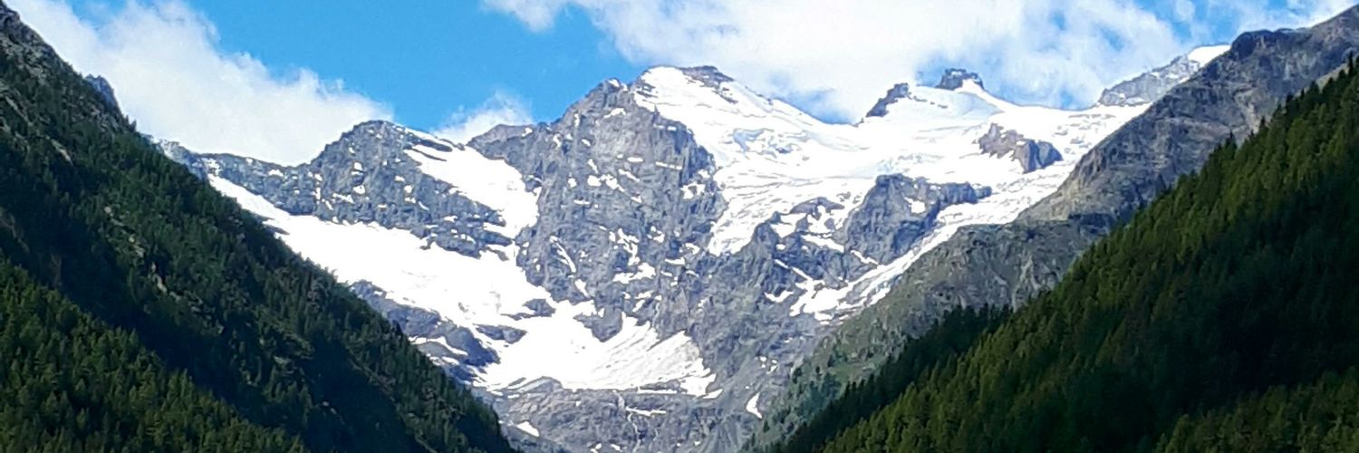 Pietro Stefanelli banner