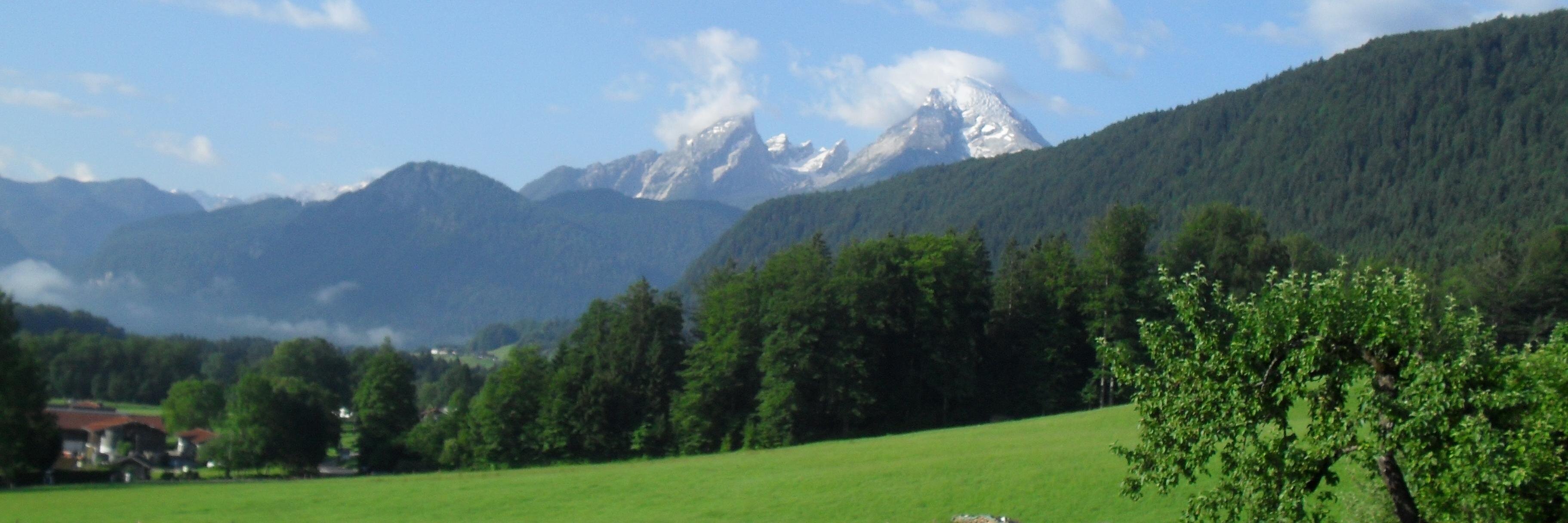 BIjbema's profile banner image