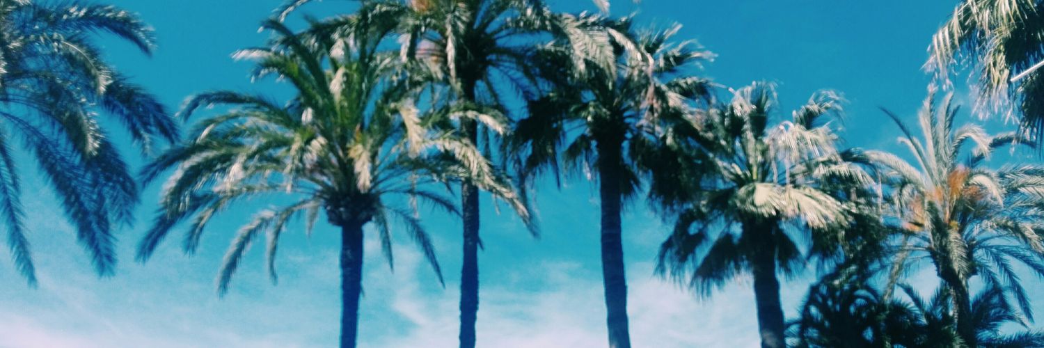perdonamepapi's profile banner image