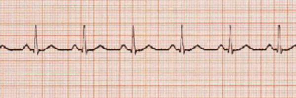 ficklenurse Profile Banner