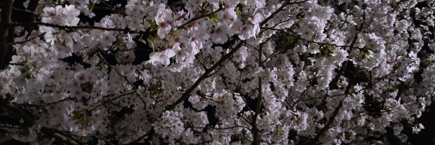yozakura0873's profile banner image