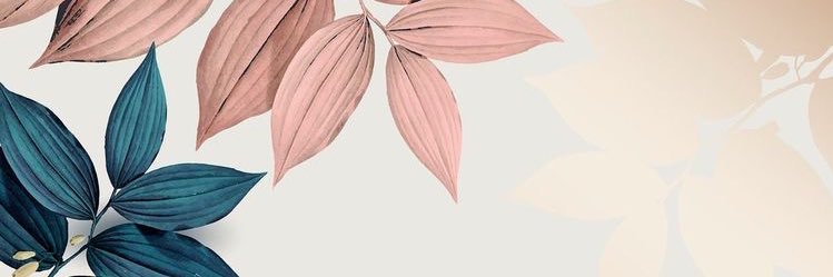 lolasilva05's profile banner image