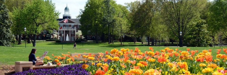 ElonInPhilly's profile banner image
