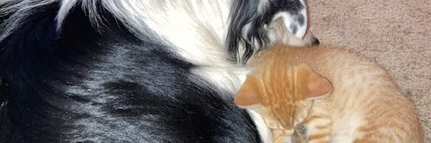 billbird2111's profile banner image