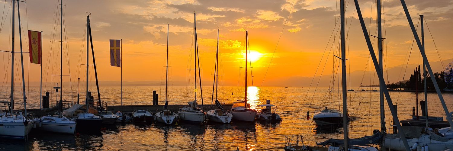 Alex B 🇺🇦 banner