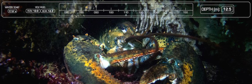 Electrona Robotics banner