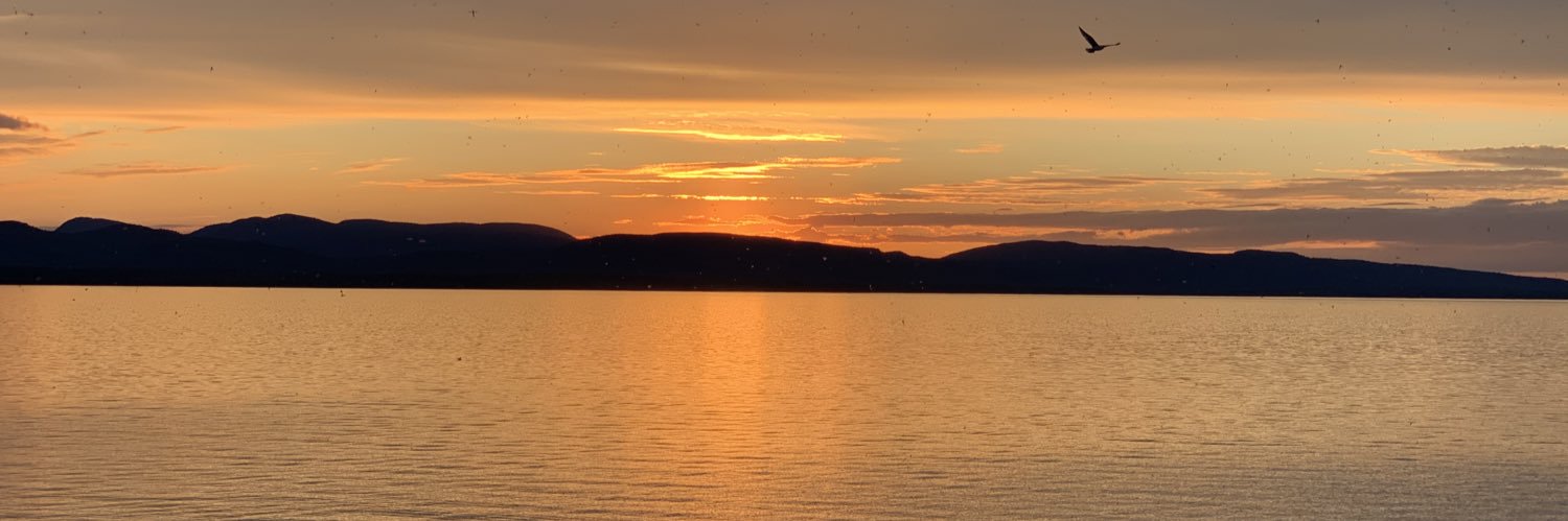 UVMRock's profile banner image