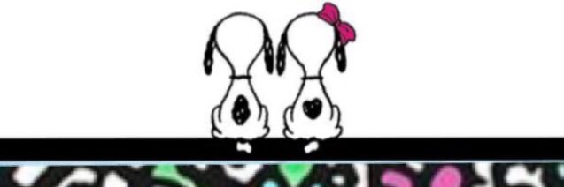 bunbun2111's profile banner image