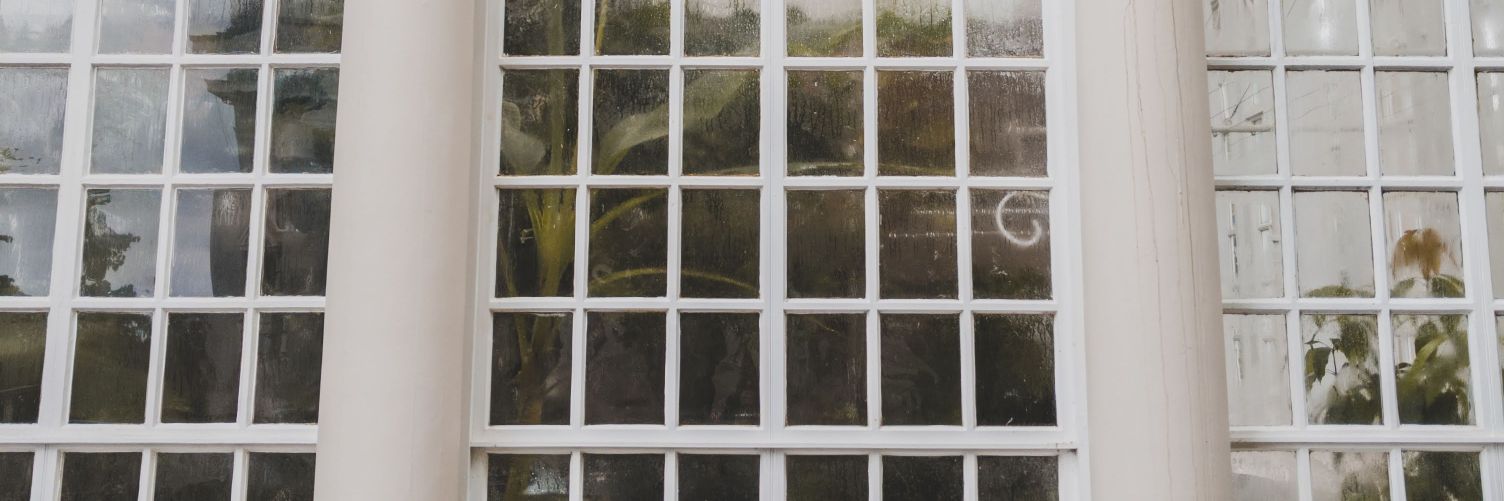 BenjiBlobs's profile banner image