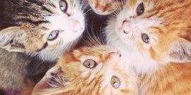 VKeeling's profile banner image