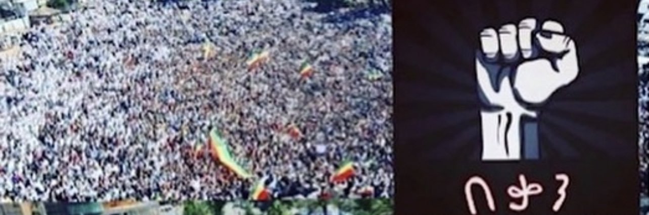 Beth Amhara banner