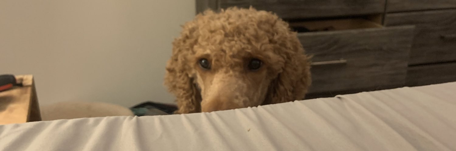 karsonclemonss's profile banner image