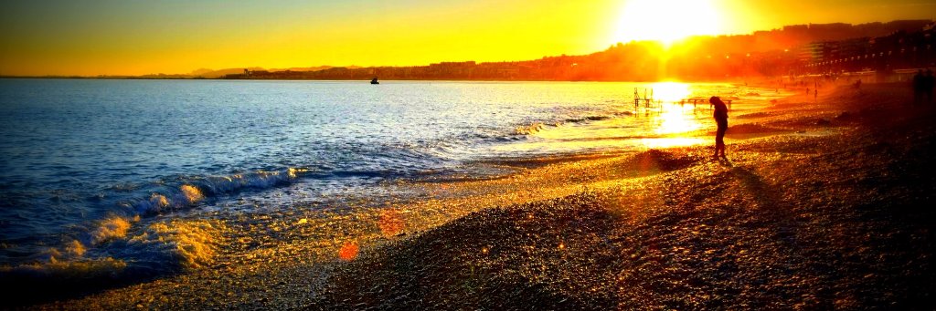 Frédéric Dayan banner