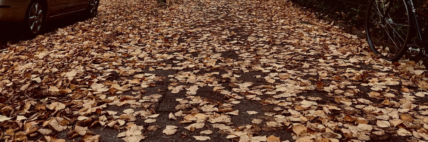 tefishubrich's profile banner image