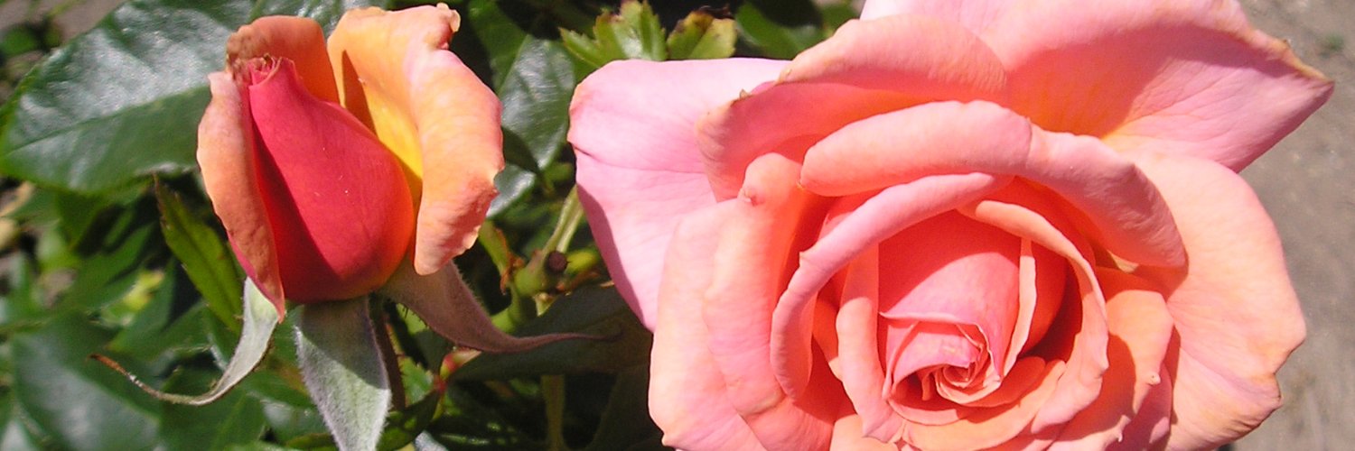 VerlaineC's profile banner image