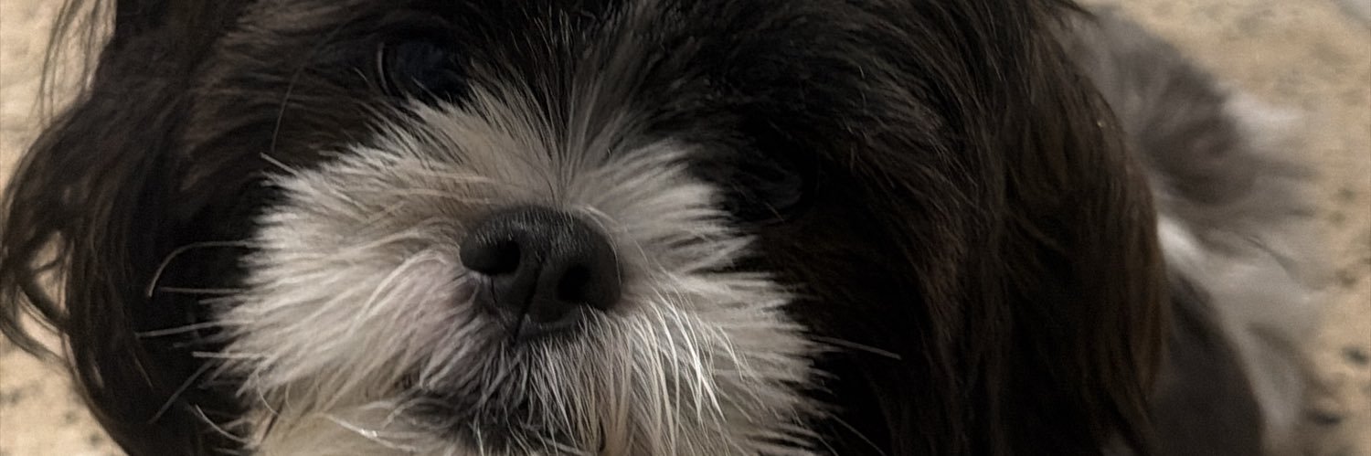 janiceraffucci's profile banner image