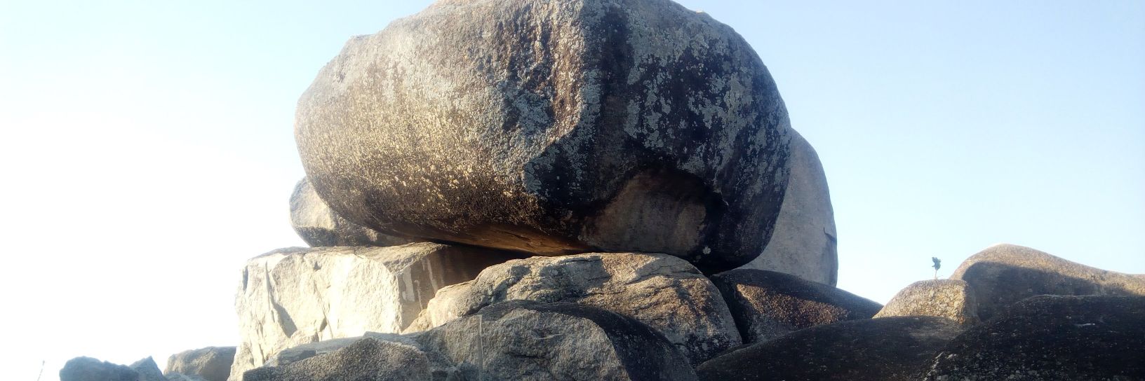 Shisa.M. Elijah banner