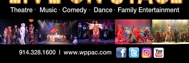 WPPAC banner