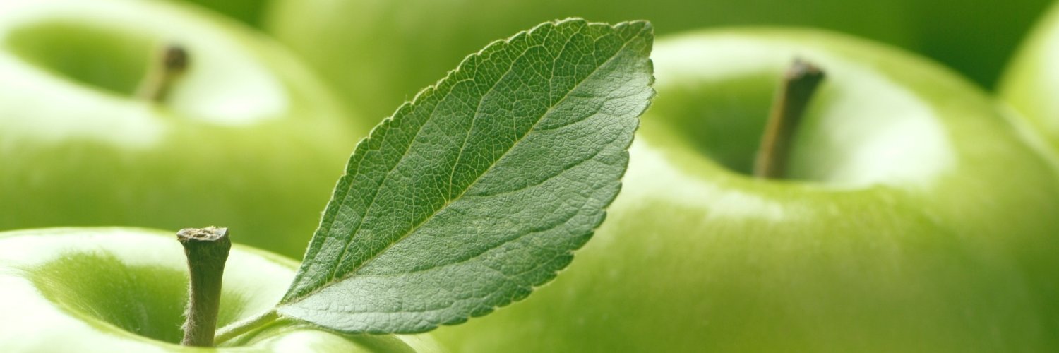 WildAppleGroup's profile banner image