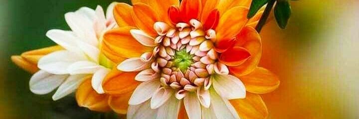 bd96210573's profile banner image
