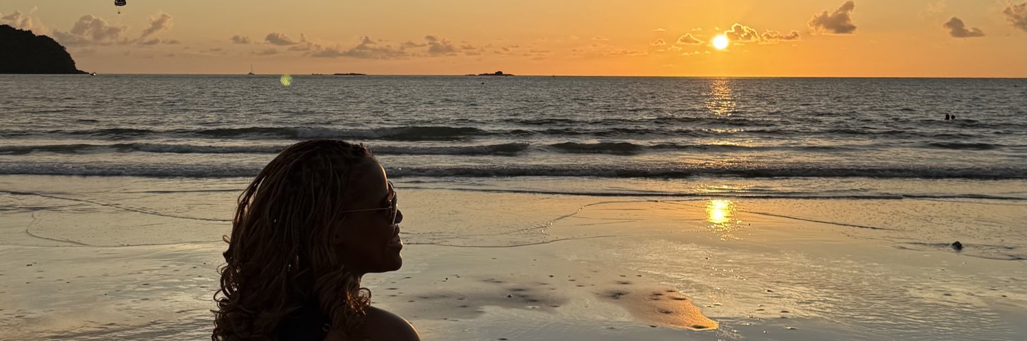 SetsaD's profile banner image