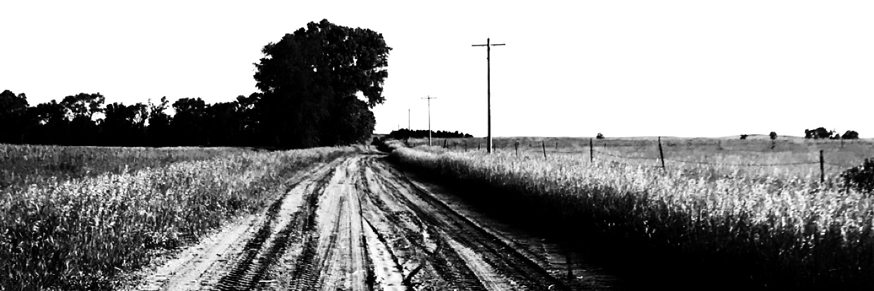 BrookeRen14's profile banner image