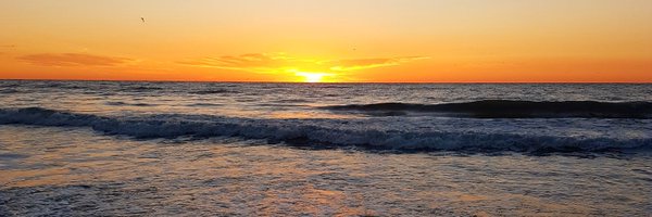 Aleeeeesh Profile Banner