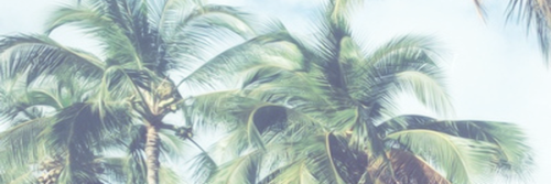 WhiteLips__'s profile banner image