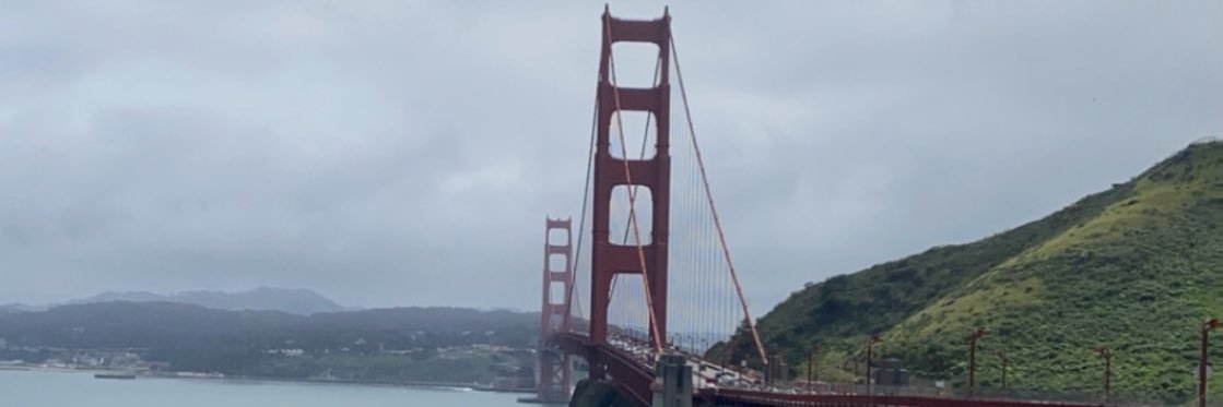 laaflinch's profile banner image