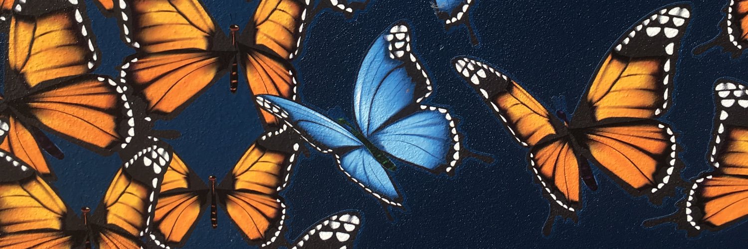 Naomi_Cocks's profile banner image