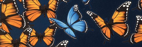 Naomi_Cocks Profile Banner
