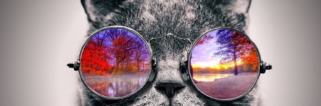 Reeei5884's profile banner image