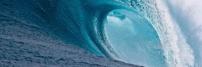 Sharknapped's profile banner image