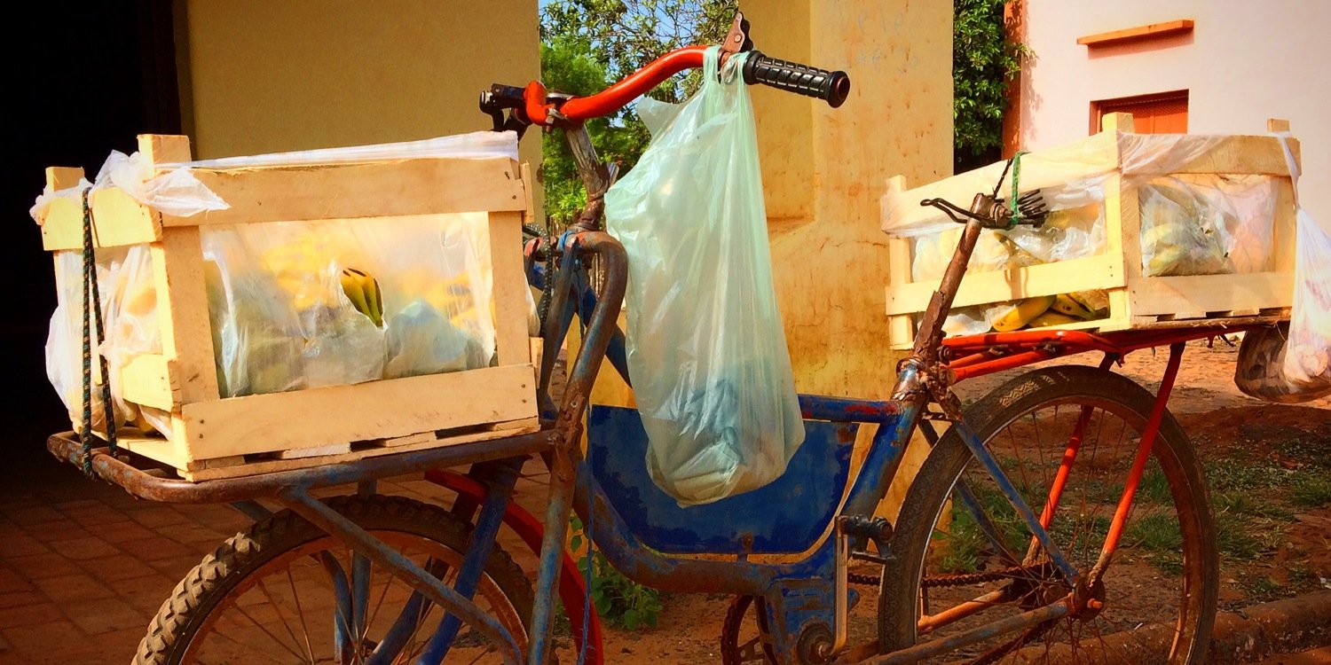 Kiara Coronel banner