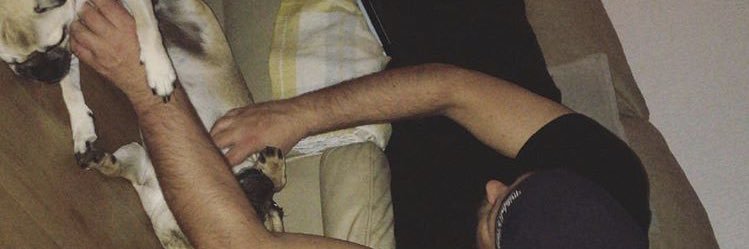 Roy ® banner