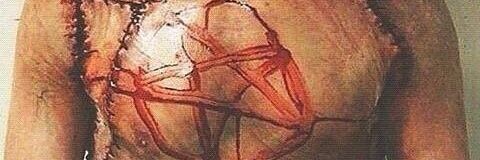 StrangeledDame's profile banner image