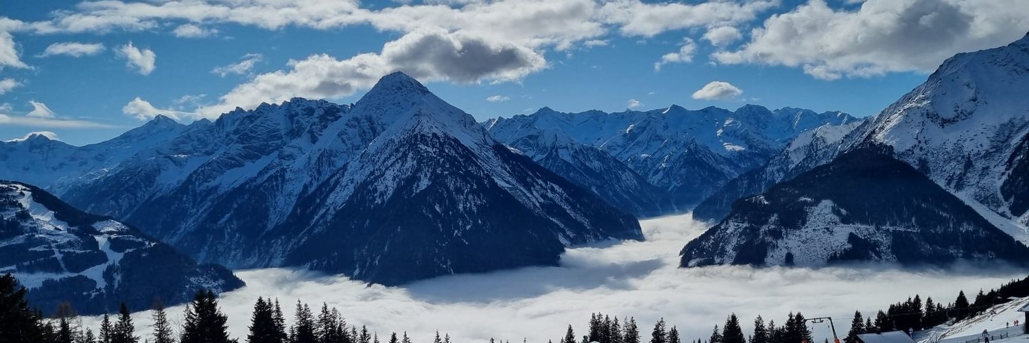 Lorraine@kermit-kerm.bsky.social 🌻 banner