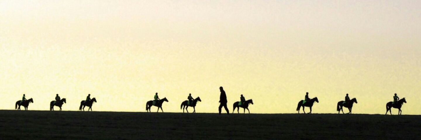staniclaus's profile banner image