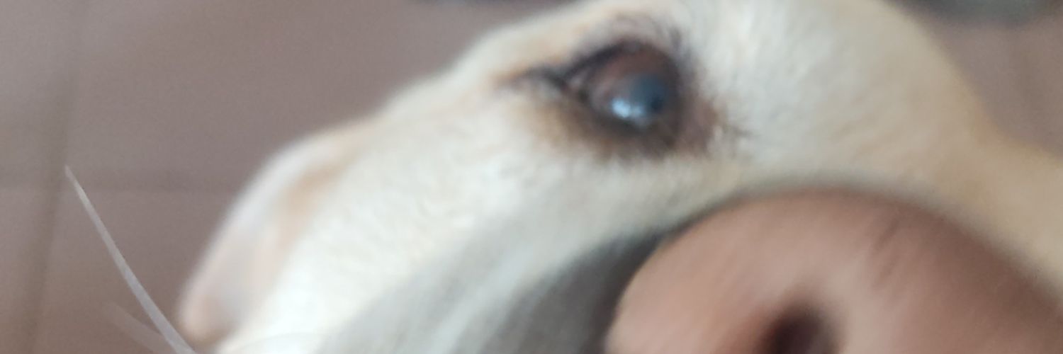 _ManuGomez_'s profile banner image